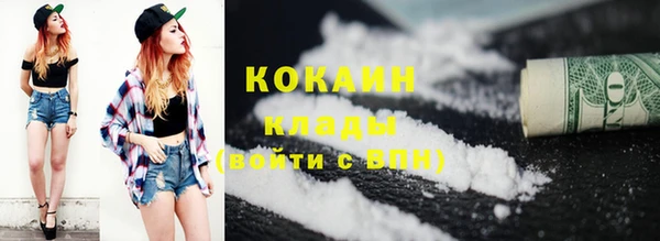 кокс Бородино