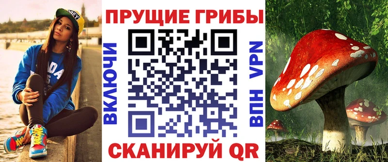 Псилоцибиновые грибы прущие грибы  Мценск 